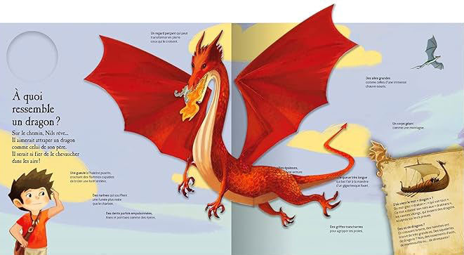 Les dragons - livre animé pop-up dès 4 ans Livres OLF