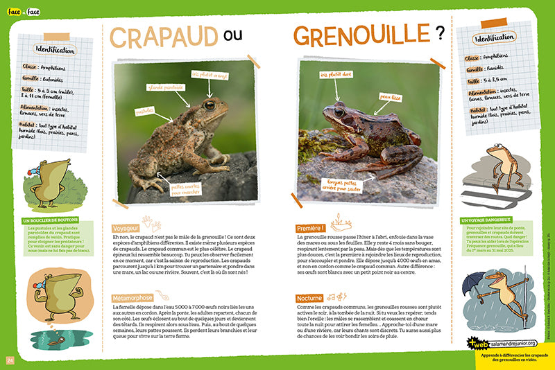 La Salamandre Junior 8-12 ans Livres La Salamandre