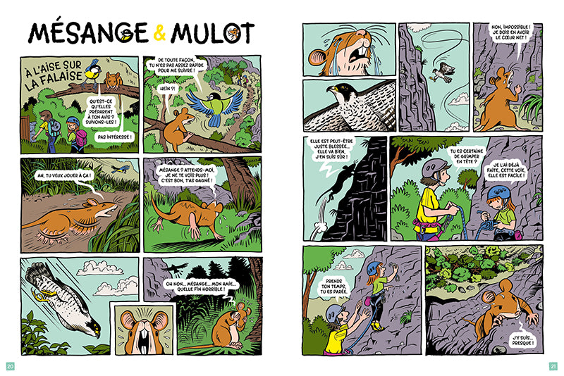 La Salamandre Junior 8-12 ans Livres La Salamandre