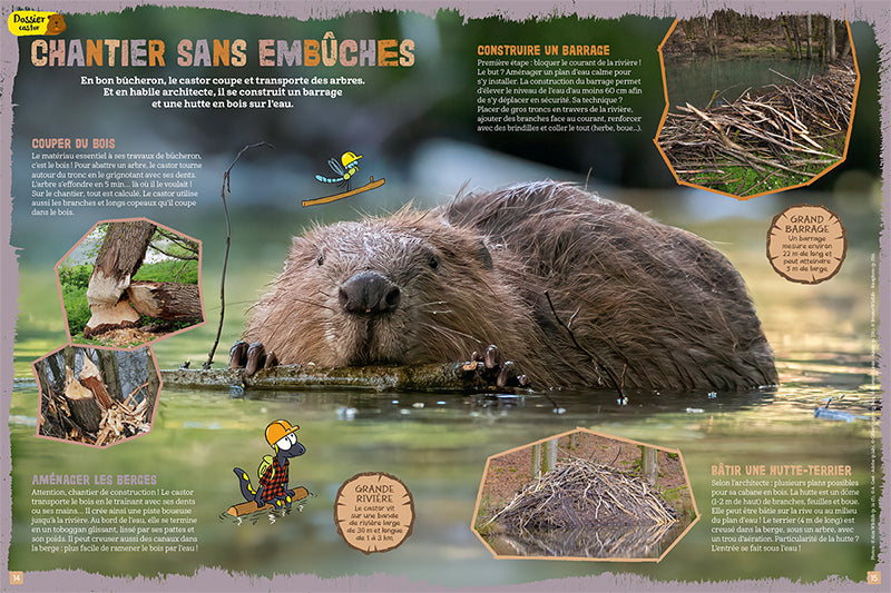 La Salamandre Junior 8-12 ans Livres La Salamandre