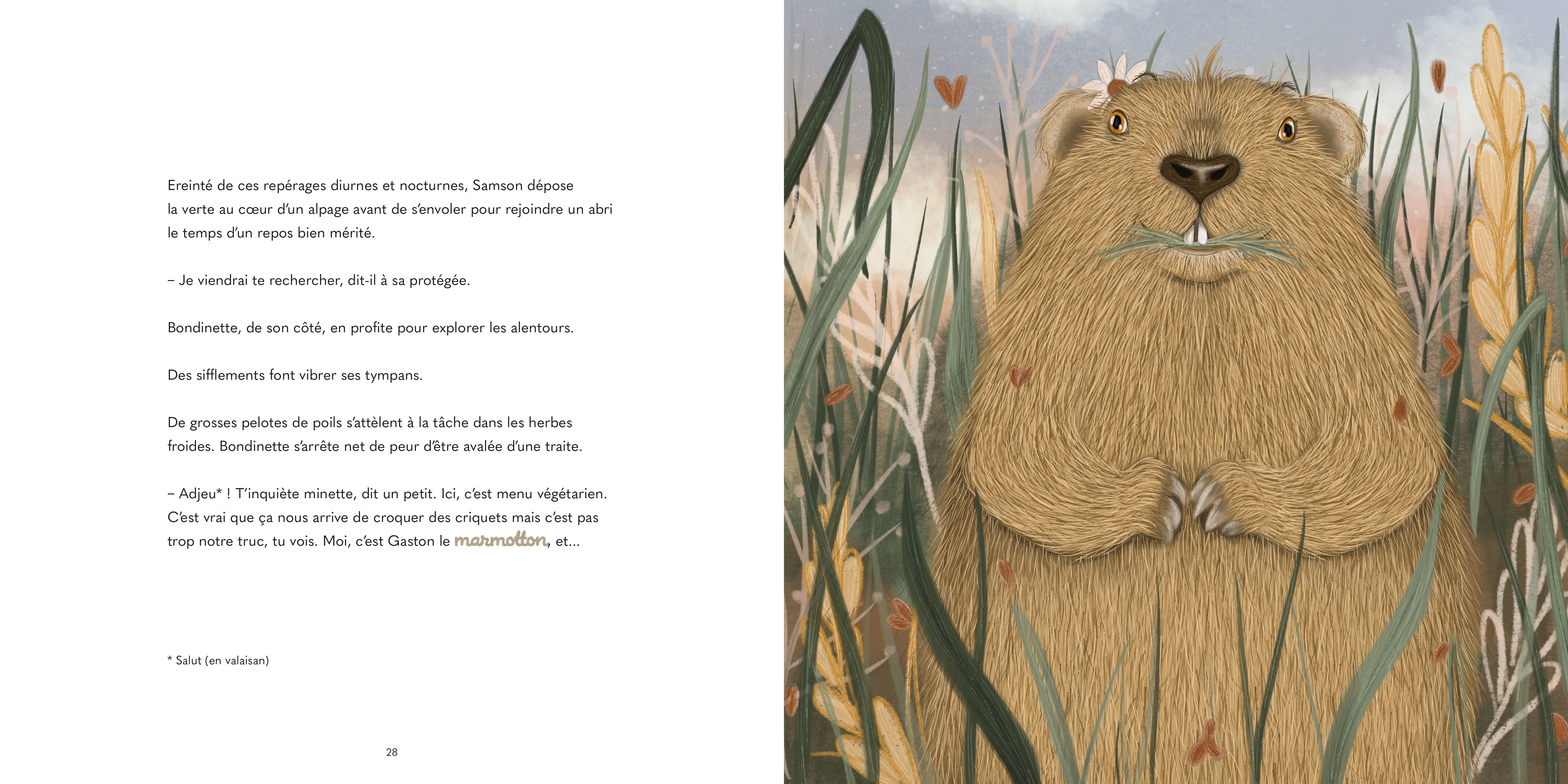 Bondinette au Pays du Saint-Bernard Livres Servidis