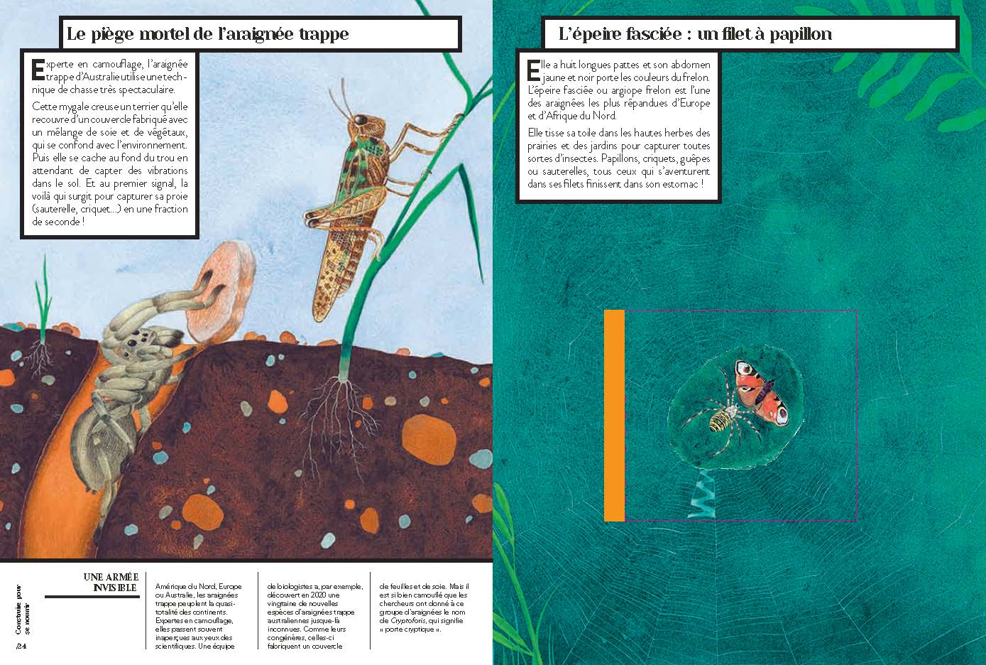 Animaux - Les bâtisseurs de génie - Dès 7 ans Livres Dargaud