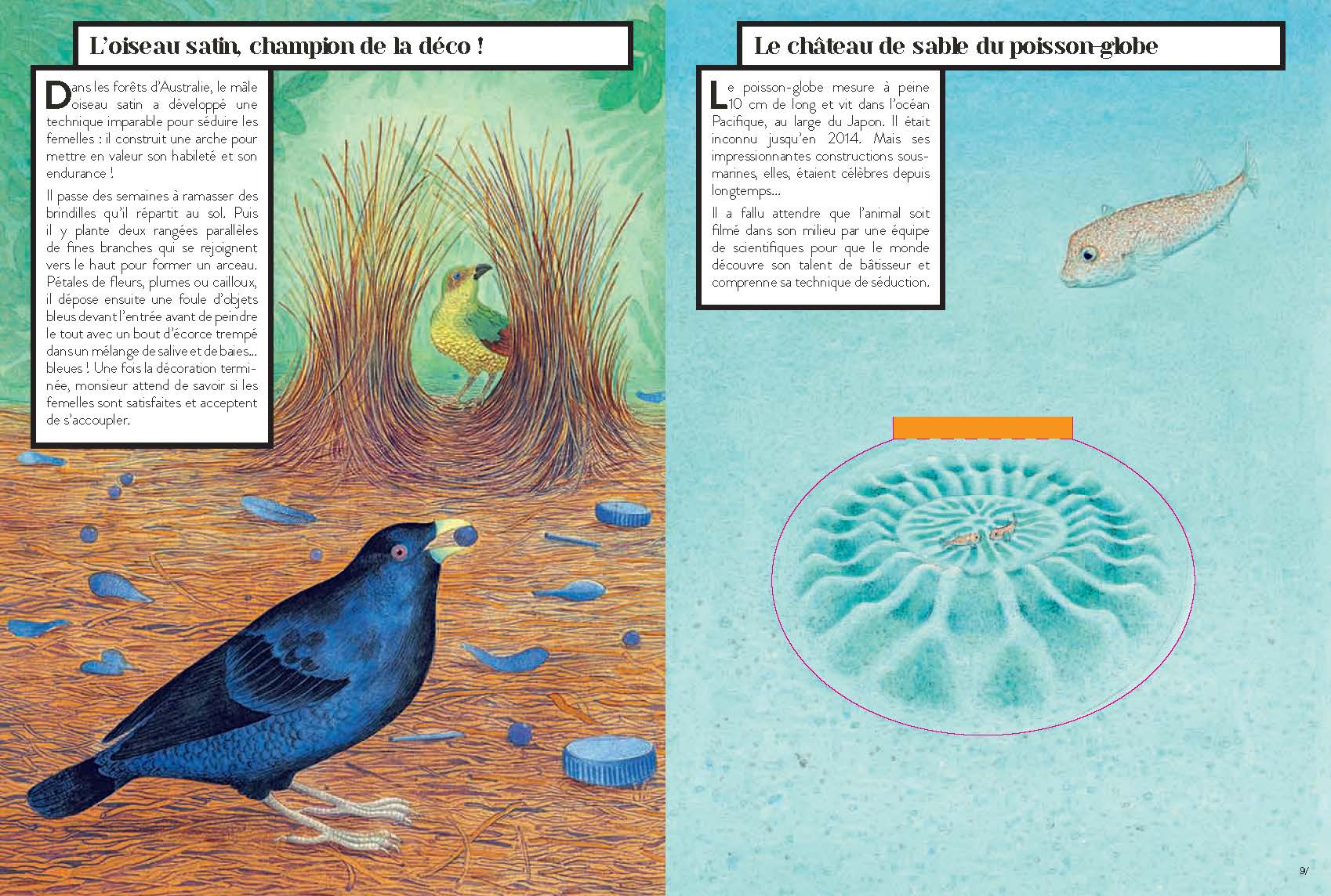 Animaux - Les bâtisseurs de génie - Dès 7 ans Livres Dargaud