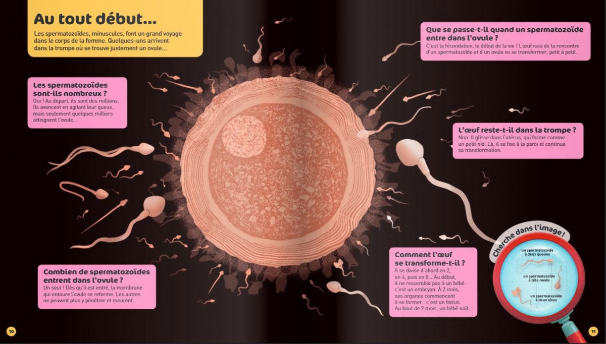 Comment on fait les bébés ? - Dès 5 ans Livres OLF