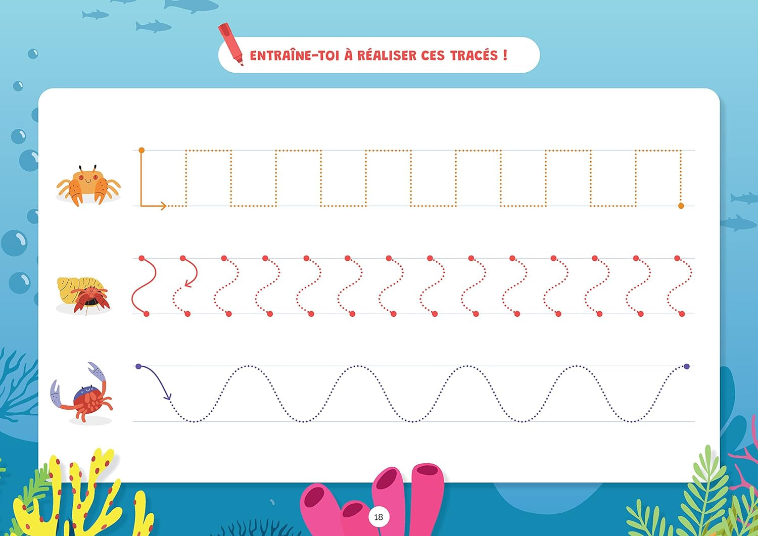 Mes grandes fiches effaçables en graphisme Cahiers de jeux OLF