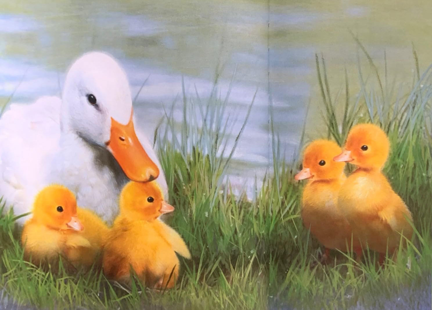 Je t'aimerai toujours mon amour  - Amour inconditionnel de Papa et Maman Livres olf