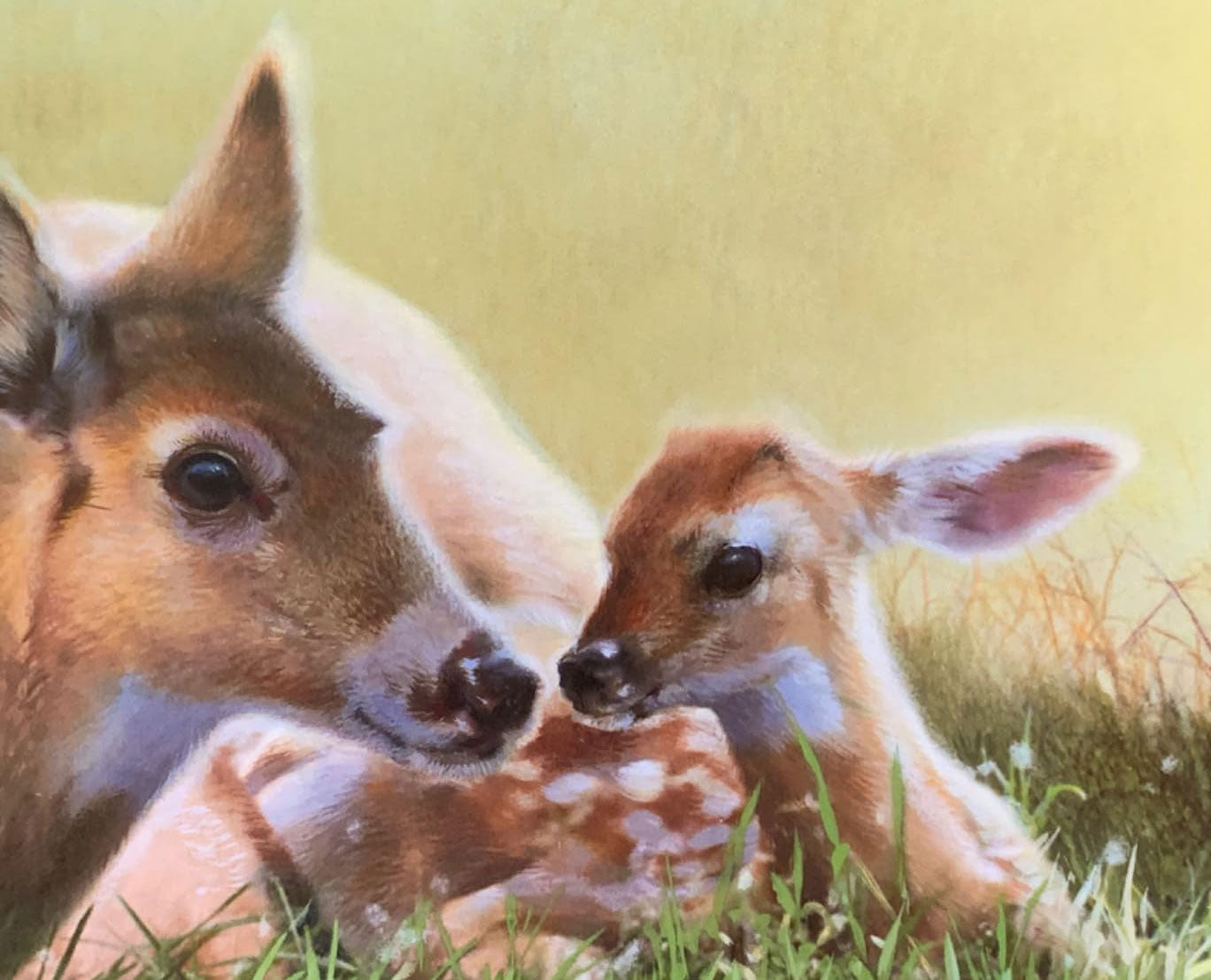 Je t'aimerai toujours mon amour  - Amour inconditionnel de Papa et Maman Livres olf