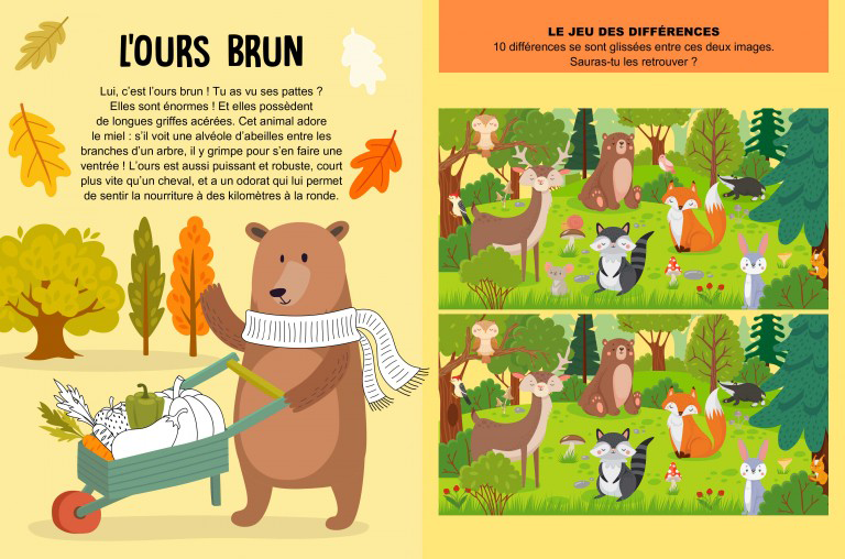 Coffret créatif: La forêt magique Box Arts & Craft - 5 ans Jeux & loisirs créatifs OLF