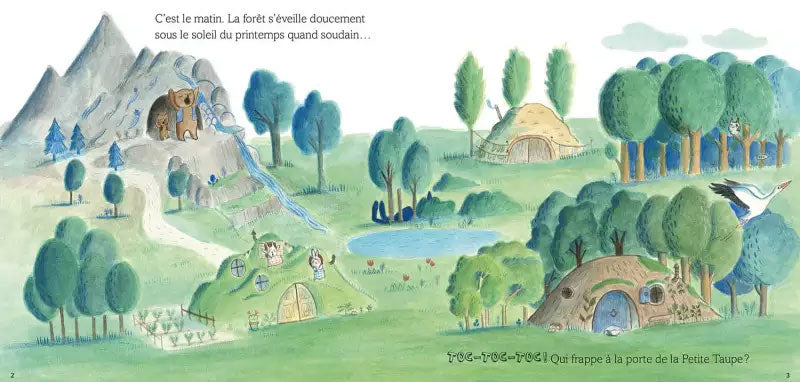 Petite Taupe : une surprise pour Petite Taupe Livres La family shop