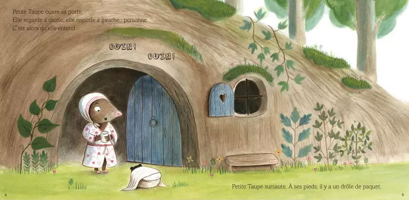 Petite Taupe : une surprise pour Petite Taupe Livres La family shop