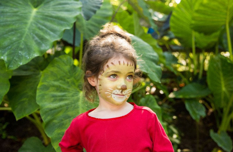 Kit maquillage Lion et Girafe Jeux & loisirs créatifs Happy clown