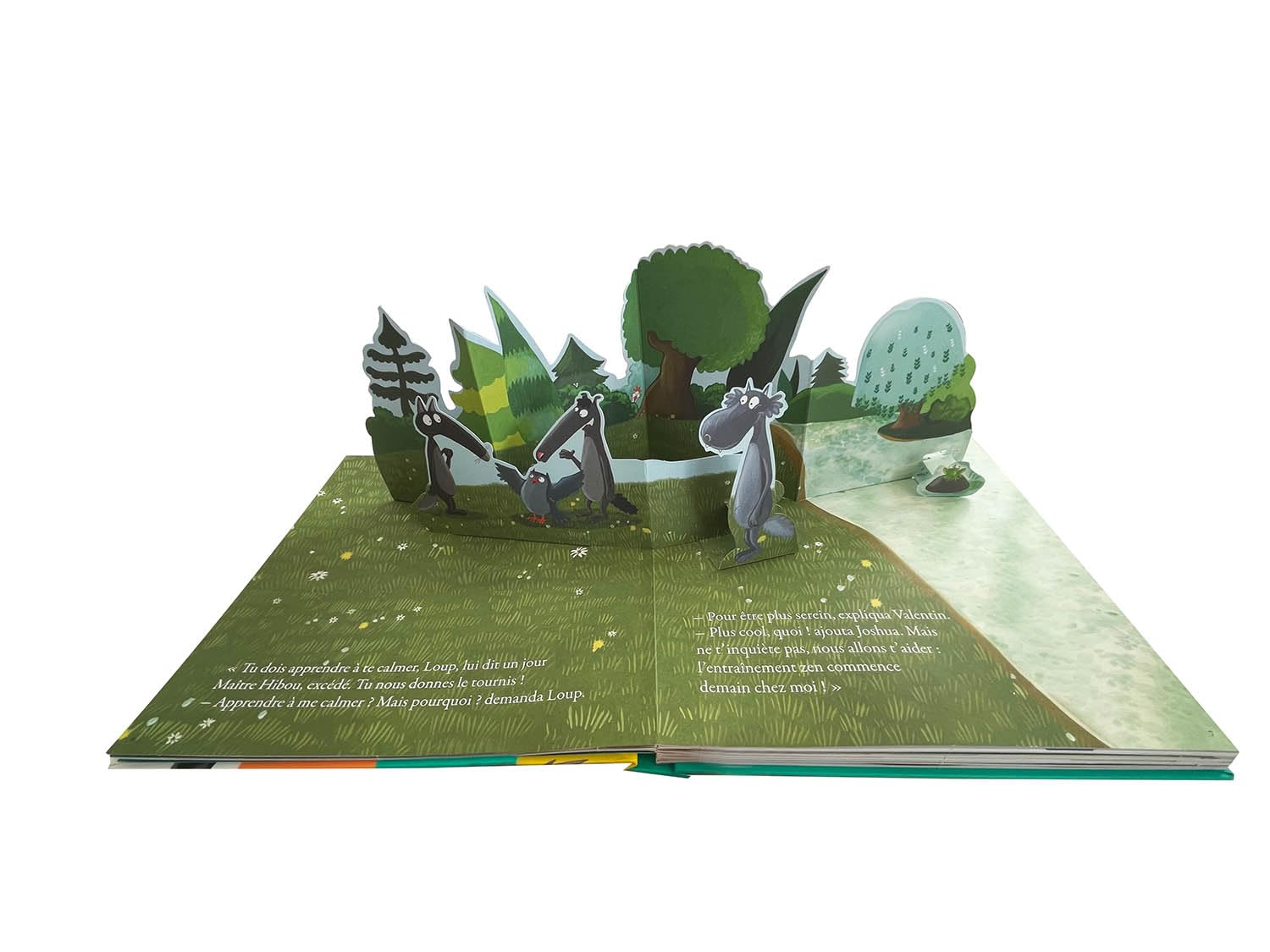 Le loup qui apprivoisait ses émotions - en pop-up Livres OLF