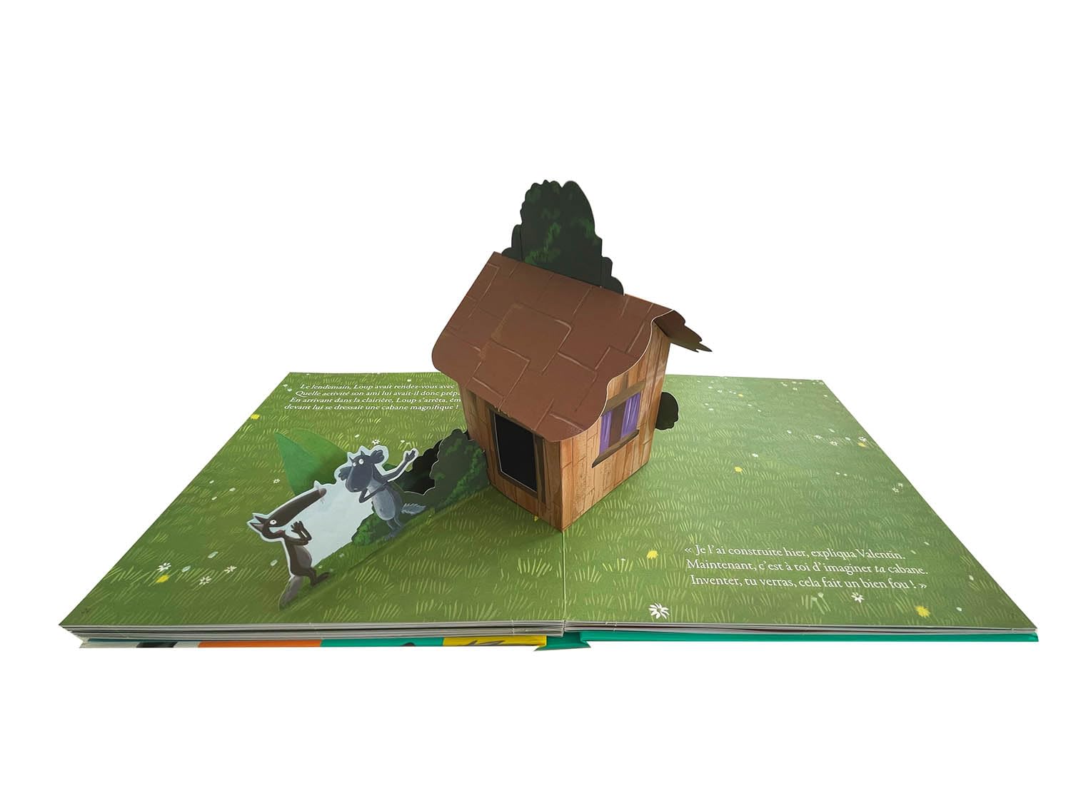 Le loup qui apprivoisait ses émotions - en pop-up Livres OLF