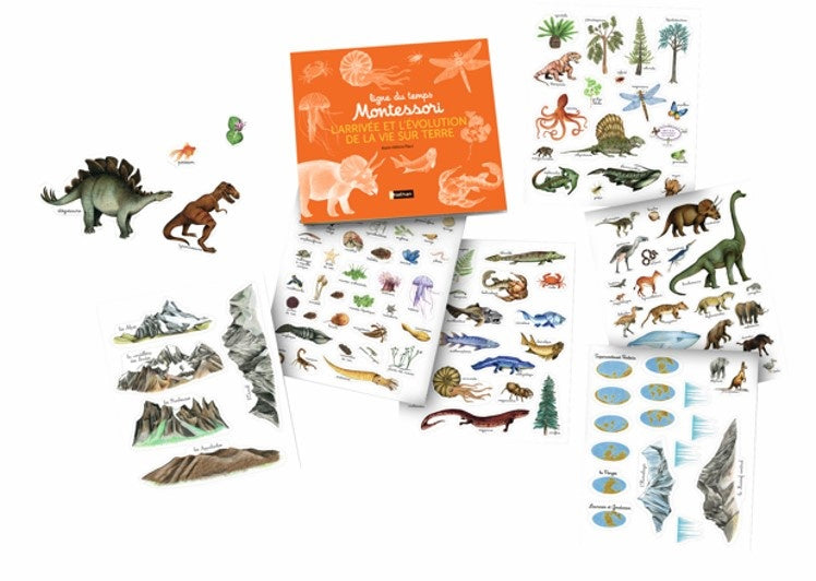 Ma ligne du temps Montessori de l'arrivée de la vie sur Terre - Nouvelle édition Montessori & Steiner OLF
