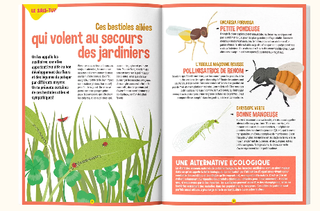 Terre et Nature Junior 7-12 ans Livres Terre et Nature