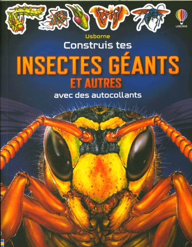 Construit tes insectes géants et autres avec une maquette et des autocollants