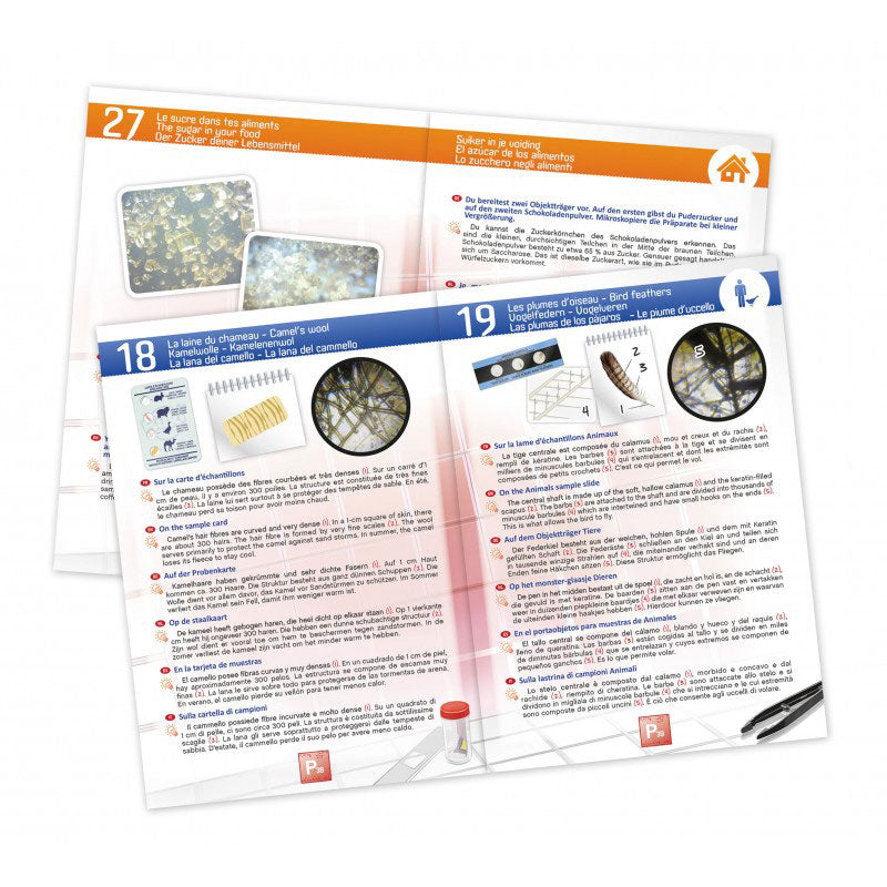 Microscope enfant + 30 Expériences scientifiques - Dès 8 ans - Mikroskop für Kinder - 30 naturwissenschaftliche Experimente - ab 8 Jahren Jeux & loisirs créatifs swissgames