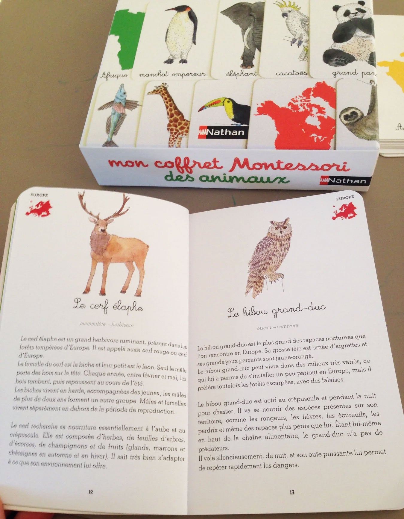 Mon coffret Montessori des animaux Montessori & Steiner La Family Shop