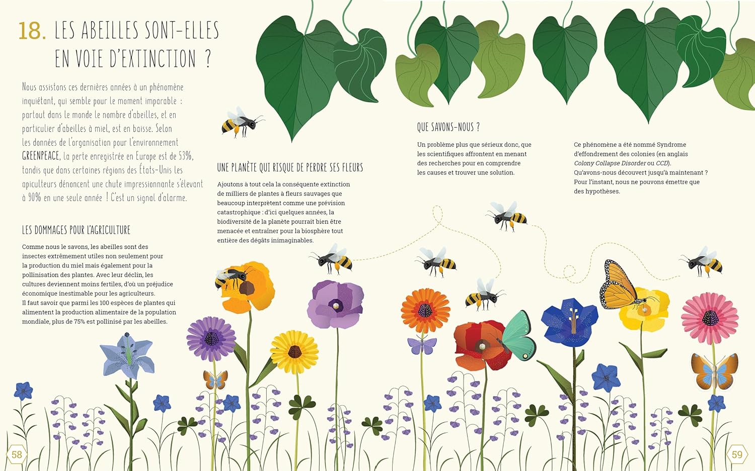 Le monde des abeilles Livres OLF