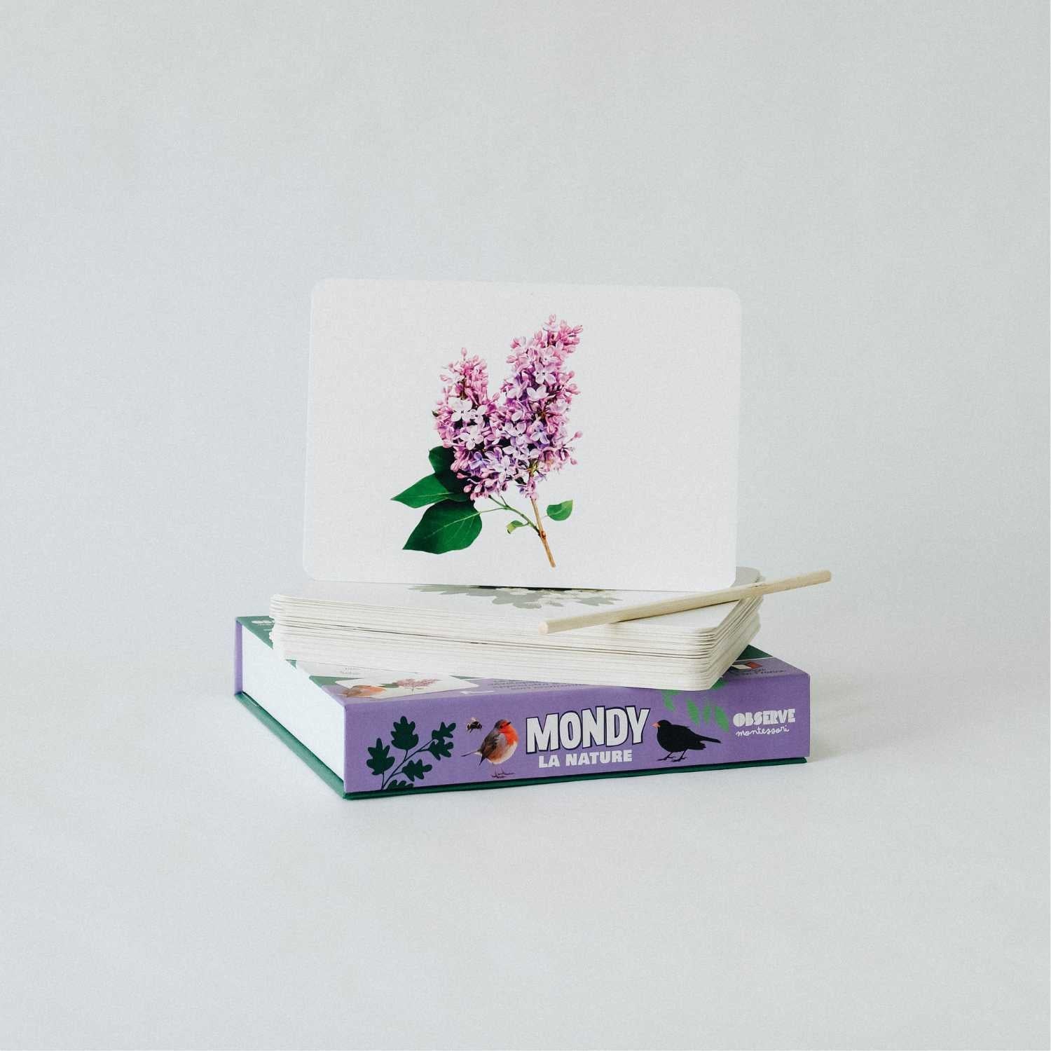 Mondy des P'tits Curieux - la nature Montessori & Steiner OLF