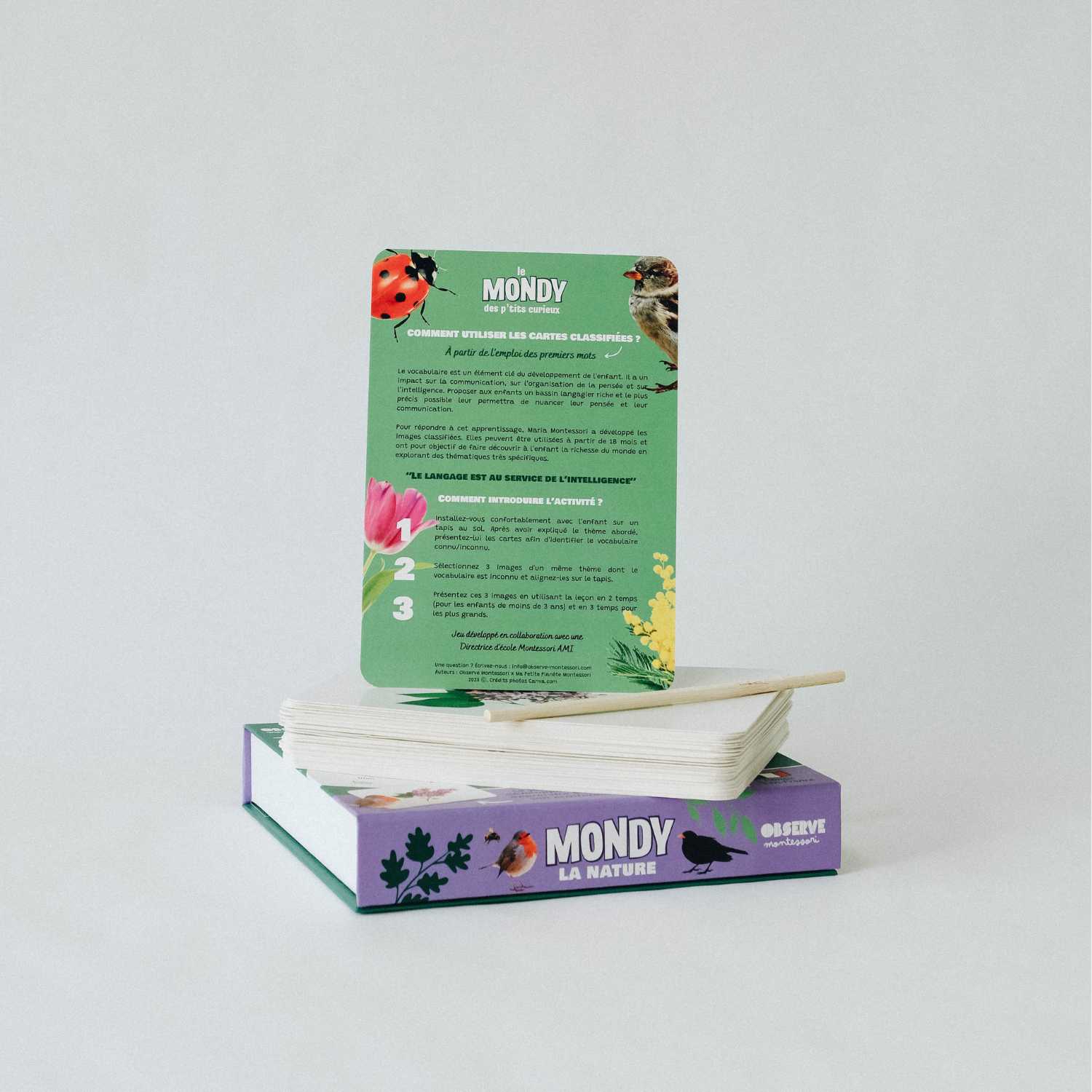 Mondy des P'tits Curieux - la nature Montessori & Steiner OLF