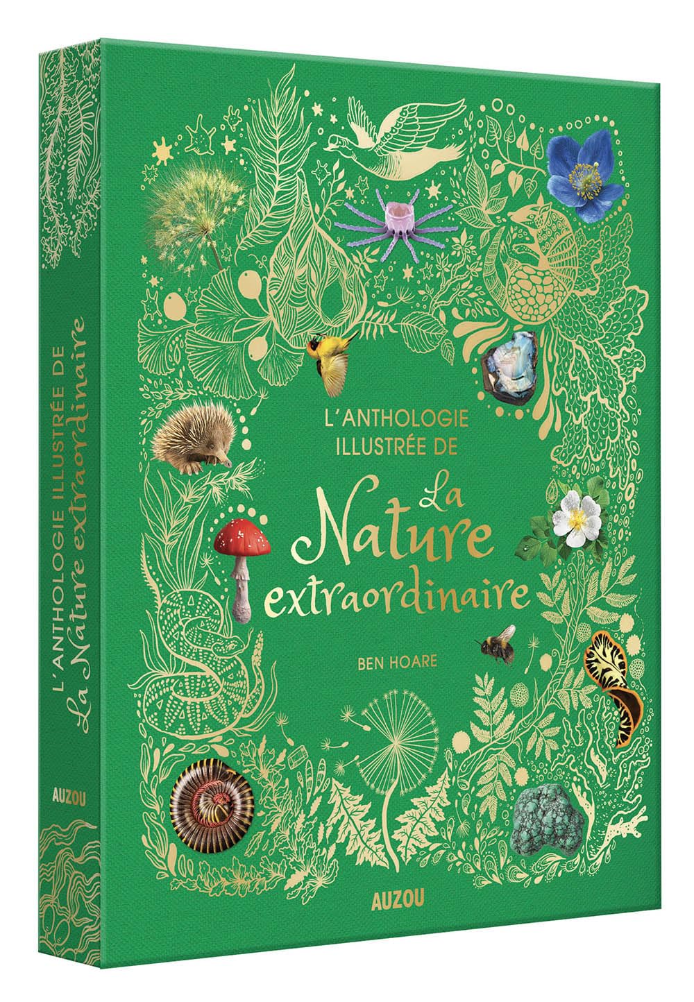 L'anthologie illustrée de la nature extraordinaire - grand format Livres OLF
