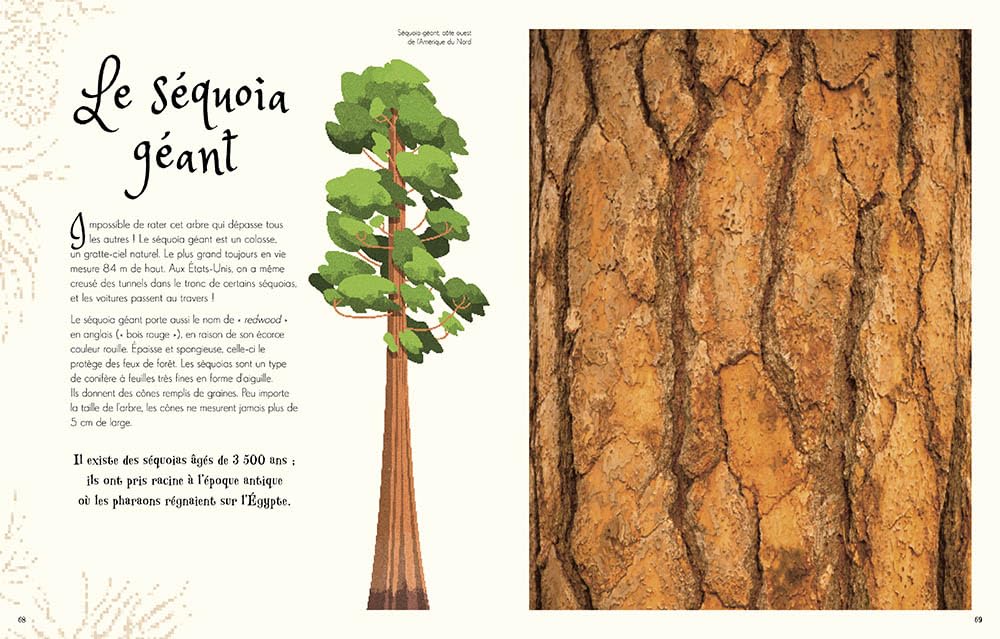 L'anthologie illustrée de la nature extraordinaire - grand format Livres OLF
