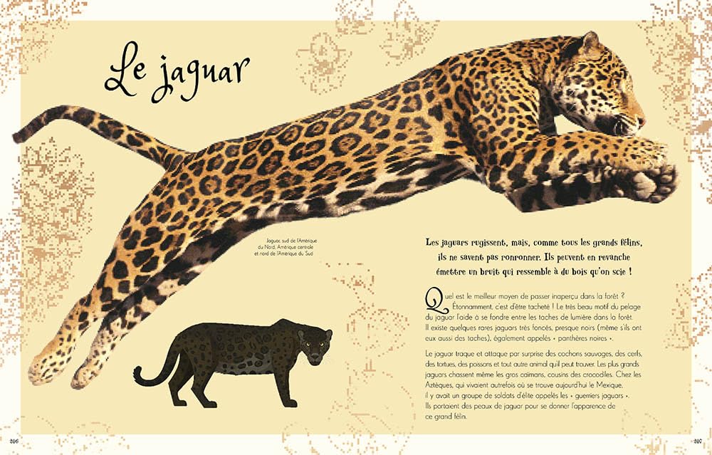 L'anthologie illustrée de la nature extraordinaire - grand format Livres OLF