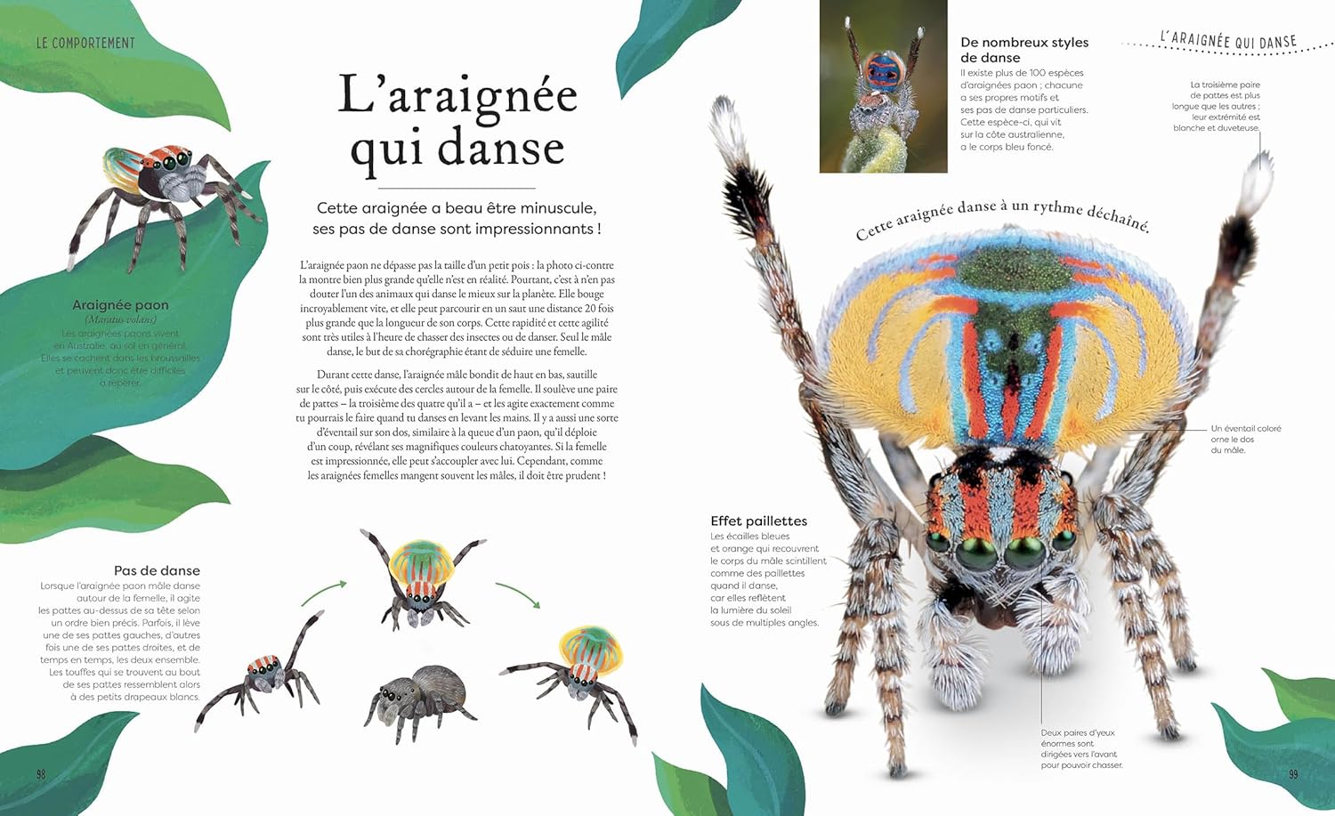 L'anthologie insolite de la nature étrange et mystérieuse Livres OLF