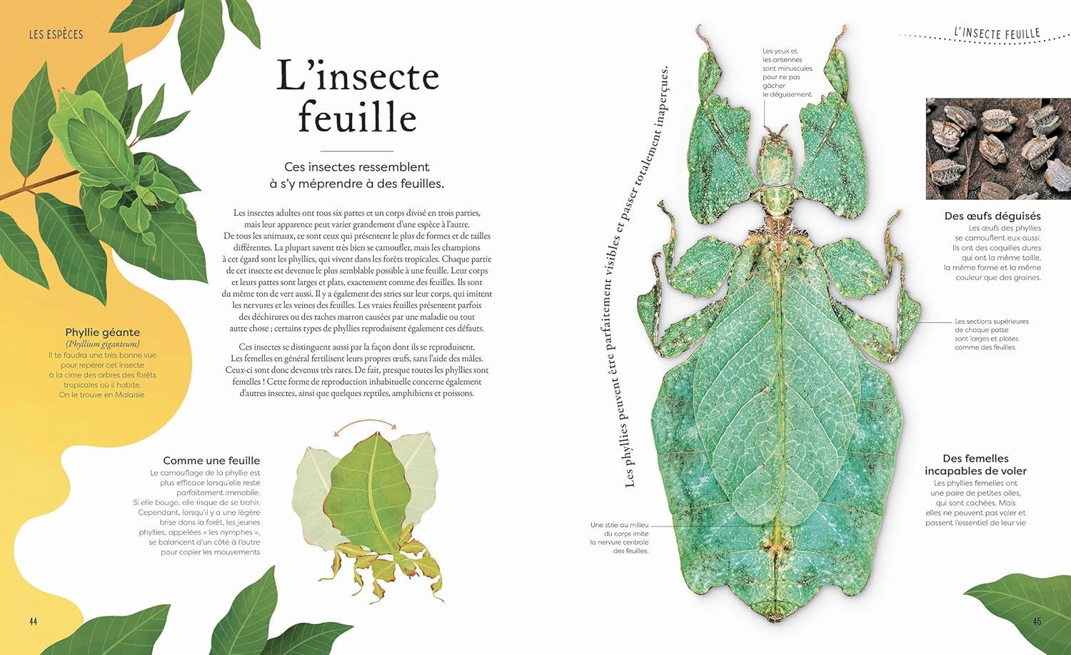 L'anthologie insolite de la nature étrange et mystérieuse Livres OLF