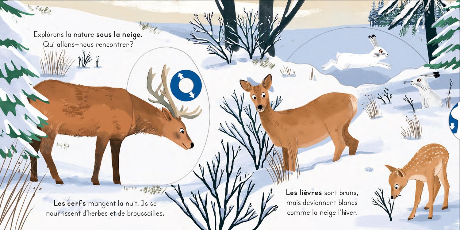 Dans la neige