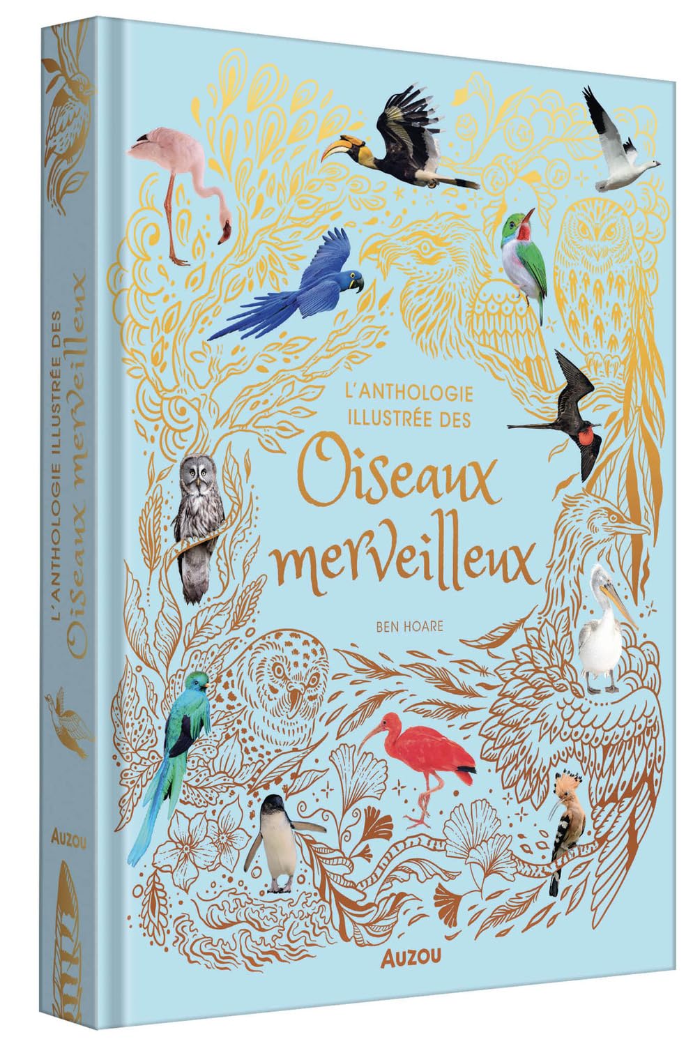 L'Anthologie illustrée des oiseaux merveilleux - grand format Livres OLF