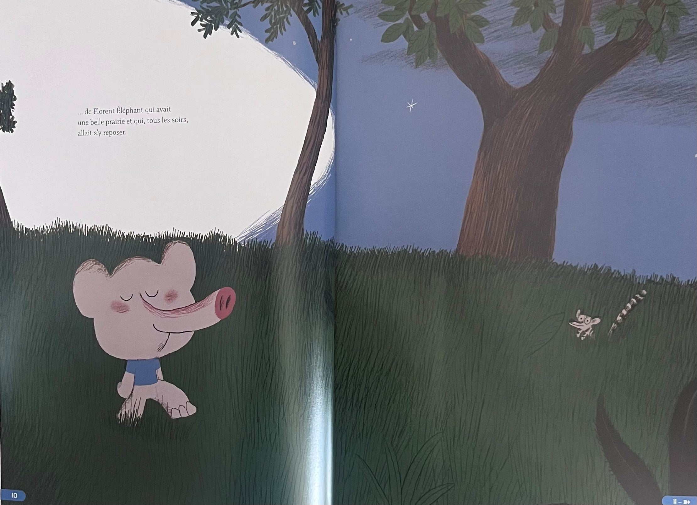 Père Castor pour les petits ( Une histoire pour chaque soir). Livres OLF