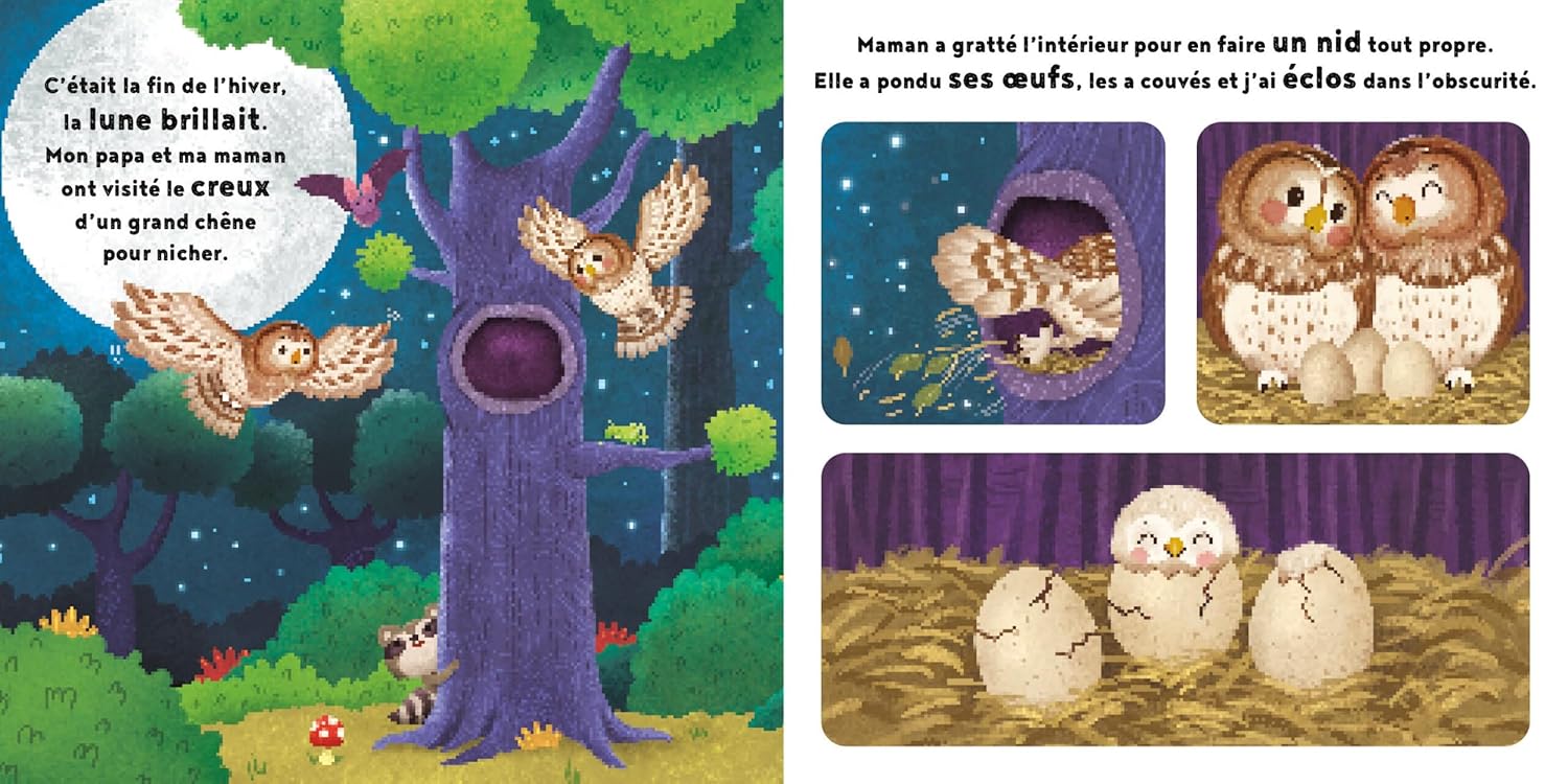 La petite chouette