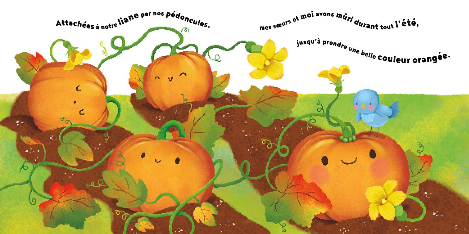La petite citrouille