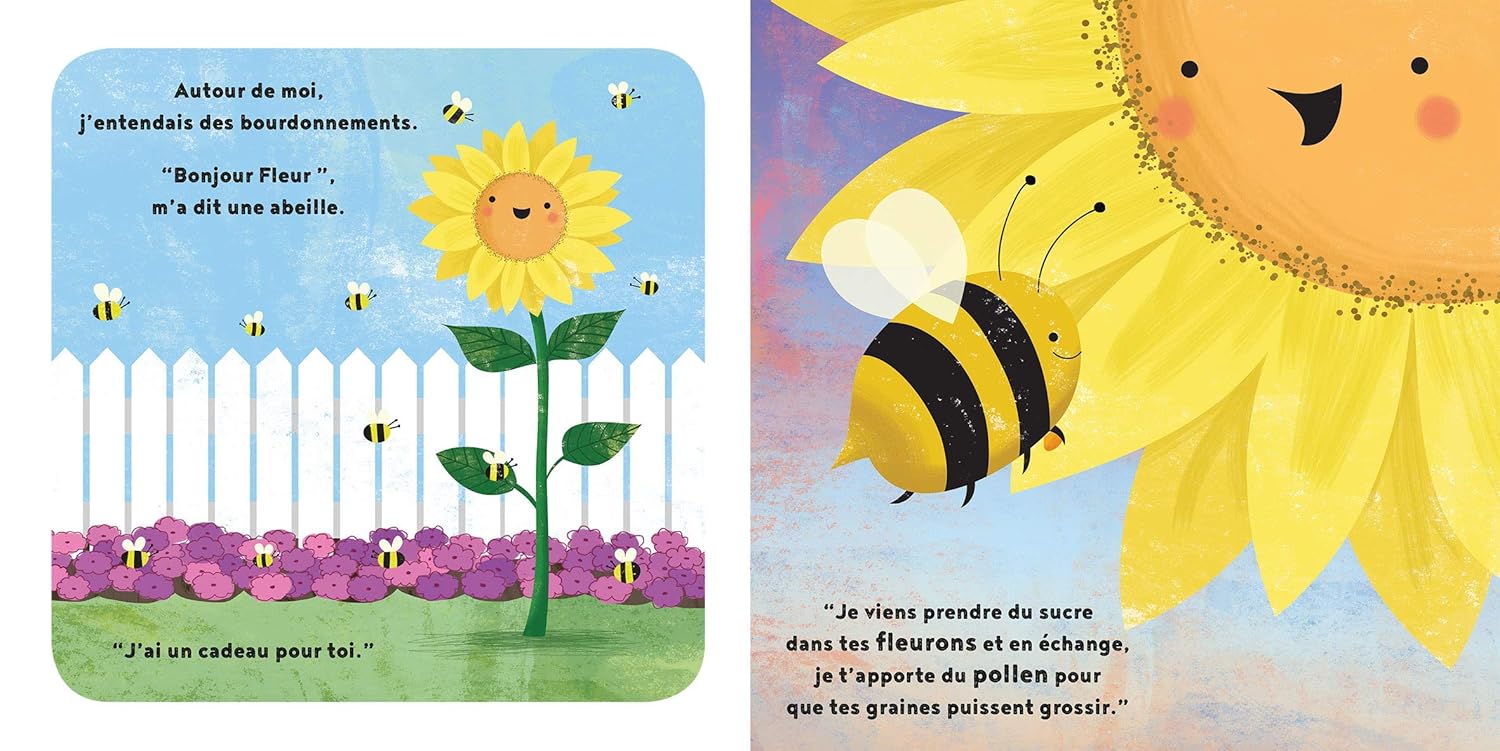 La petite graine de tournesol