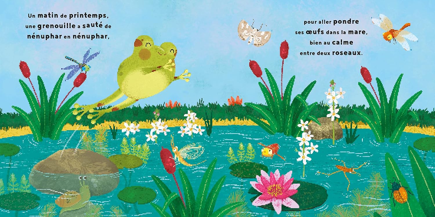 La petite grenouille
