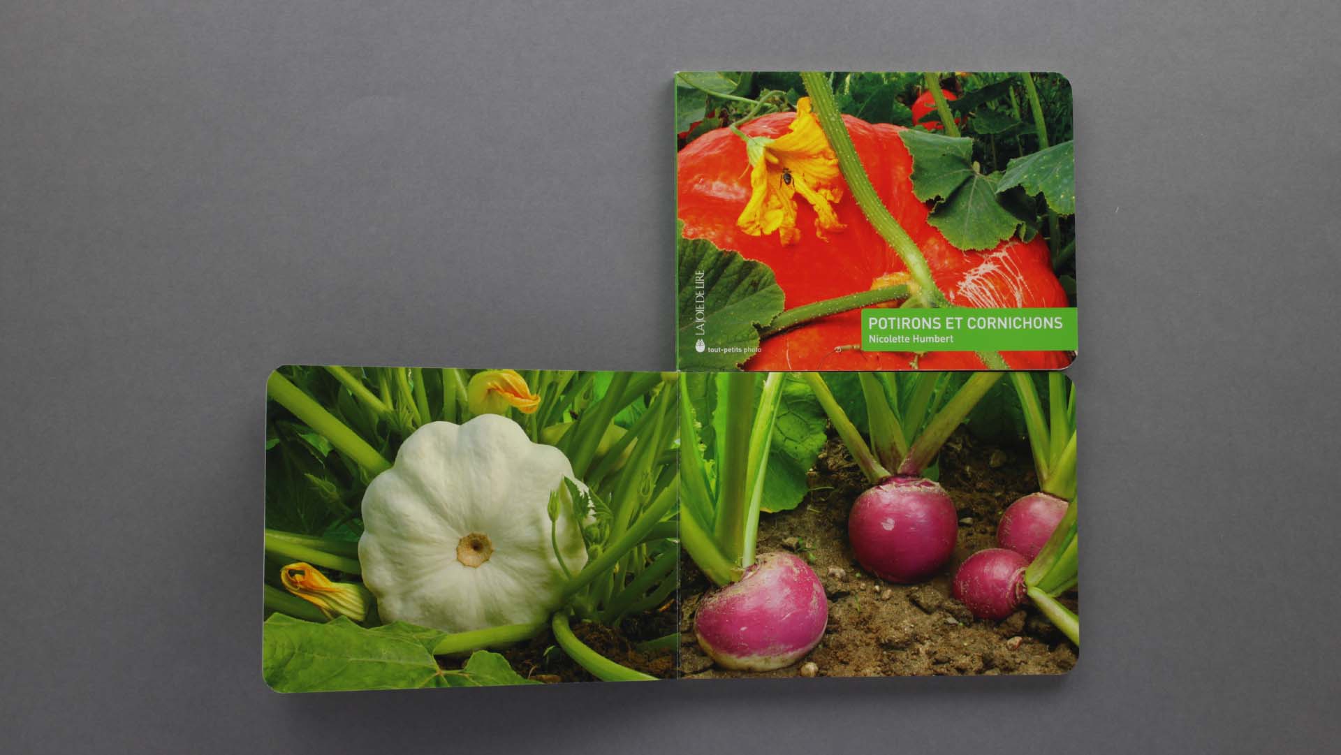 Potirons et cornichons de Nicolette Humbert Livres OLF