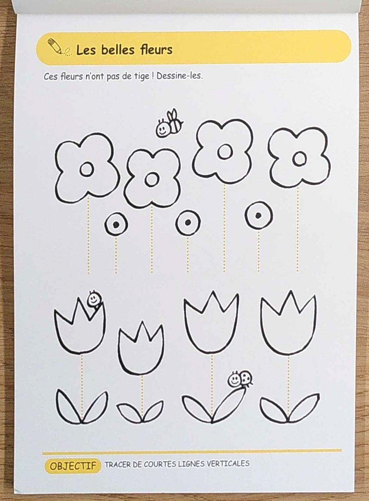 Premiers pas en écriture (5-6 ans) Cahiers de jeux OLF