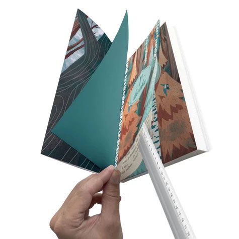 Le renne mystérieux - Mon roman de l'Avent Livres OLF