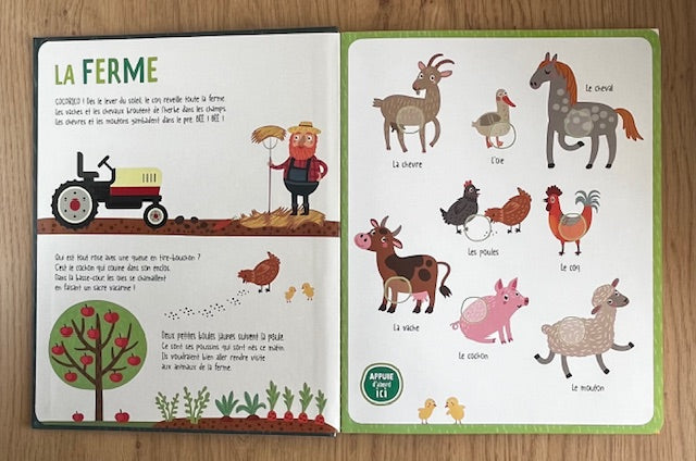 Mon livre sonore Animaux - 54 sons Jeux & loisirs créatifs OLF