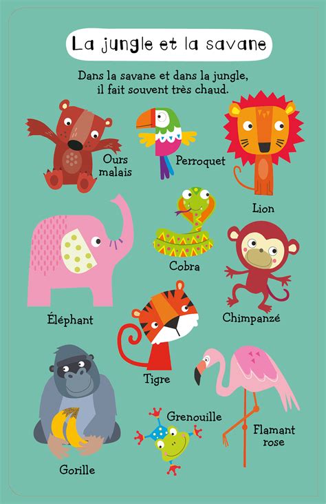 Mon premier cherche et trouve sonore - 50 sons animaux - Dès 2 ans Livres OLF