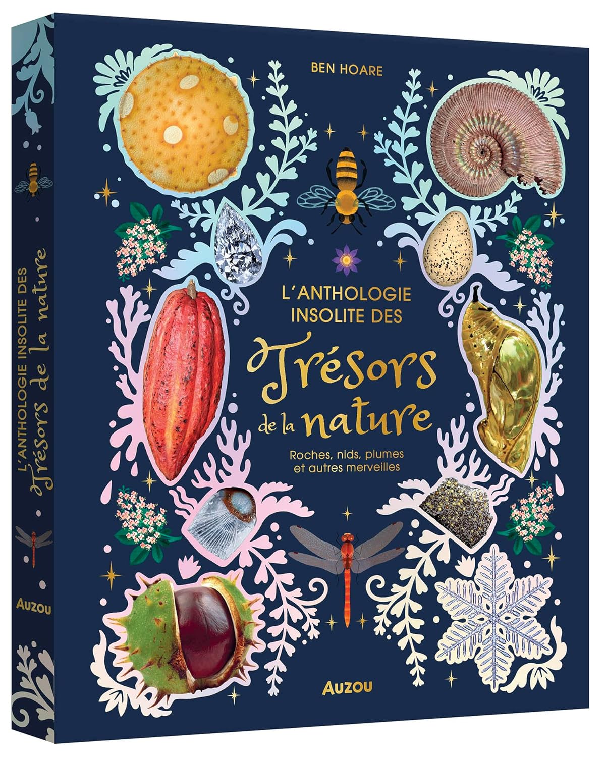 L'anthologie insolite des trésors de la nature - grand format Livres OLF