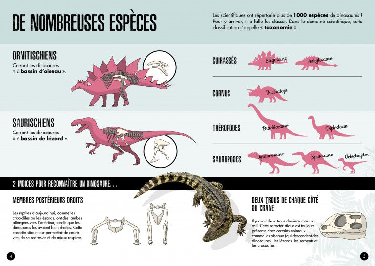 Coffret Le tricératops 3D! L'ère des dinosaures Jeux & loisirs créatifs servidis (attendre la new édition)