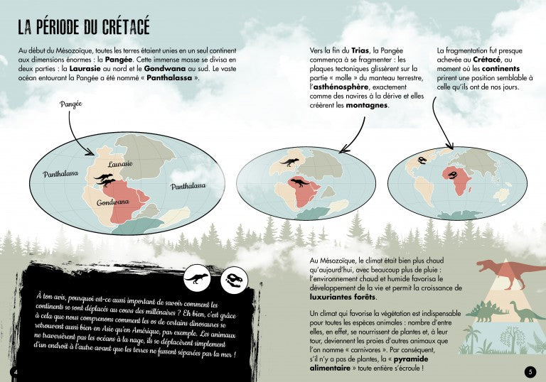 Coffret Le Tyrannosaure 3D! L'ère des dinosaures Jeux & loisirs créatifs La family shop