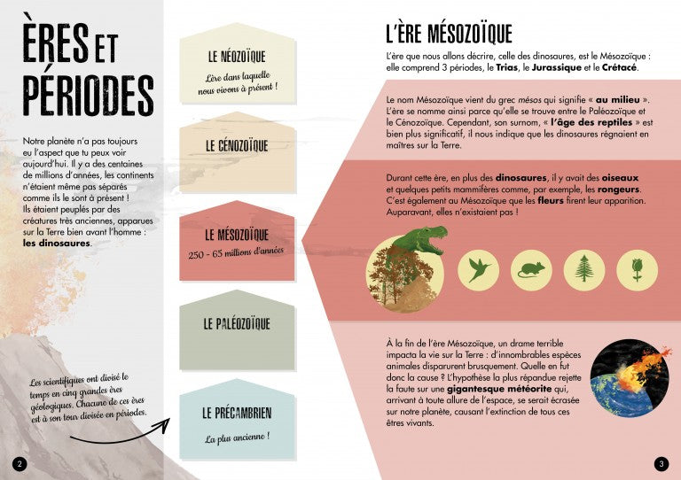 Coffret Le Tyrannosaure 3D! L'ère des dinosaures Jeux & loisirs créatifs La family shop