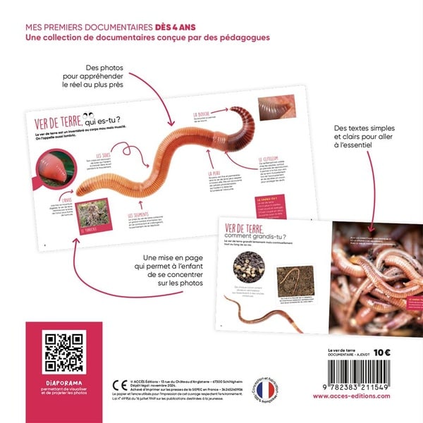 Le ver de terre