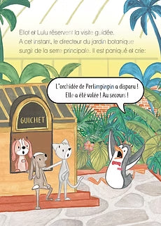 Petit Détective : Vol au jardin botanique - N3: 3P - Les IM-IN-EIM-AIN Livres OLF