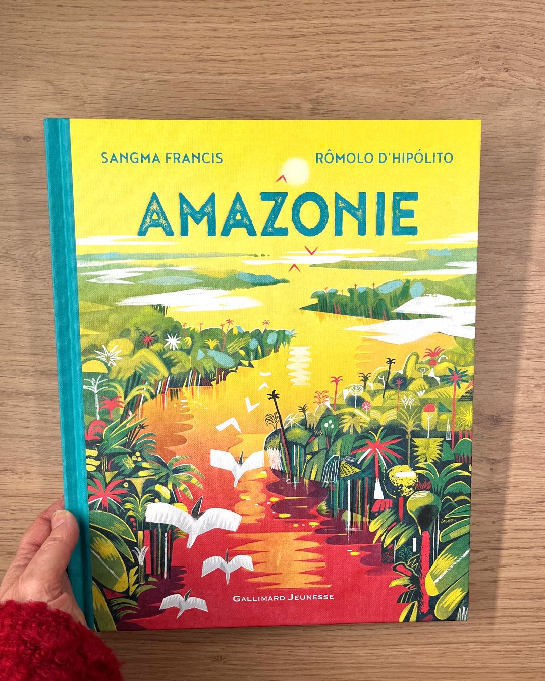 Amazonie - Enfant dès 9 ans Livres La family shop