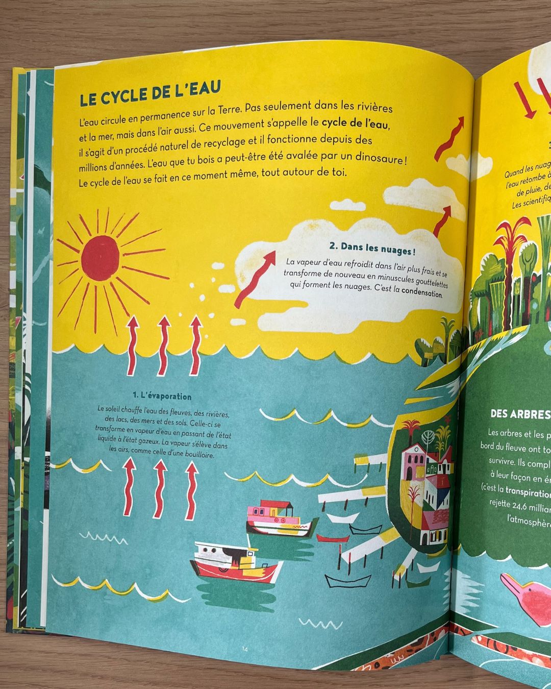 Amazonie - Enfant dès 9 ans Livres La family shop